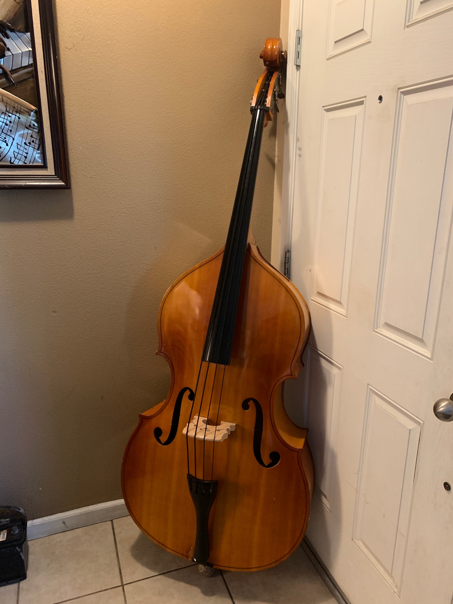 ENGLEHARDT UPRIGHT BASS / TOLOLOCHE