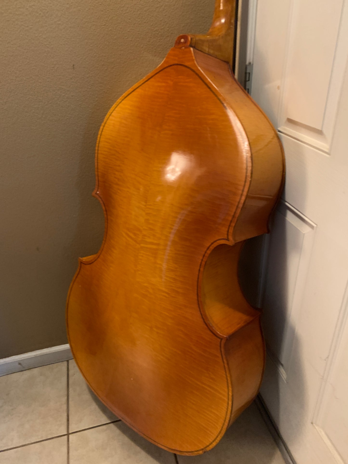 ENGLEHARDT UPRIGHT BASS / TOLOLOCHE