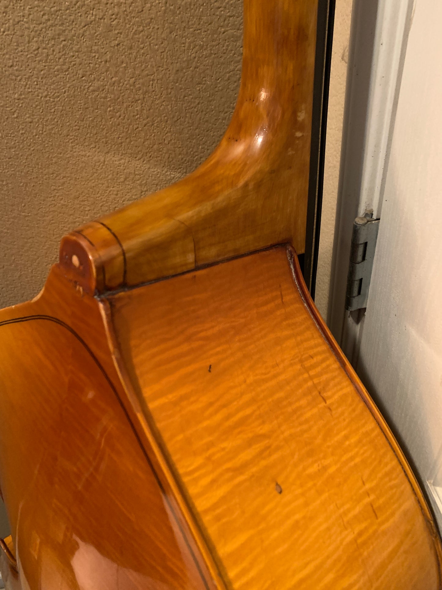 ENGLEHARDT UPRIGHT BASS / TOLOLOCHE