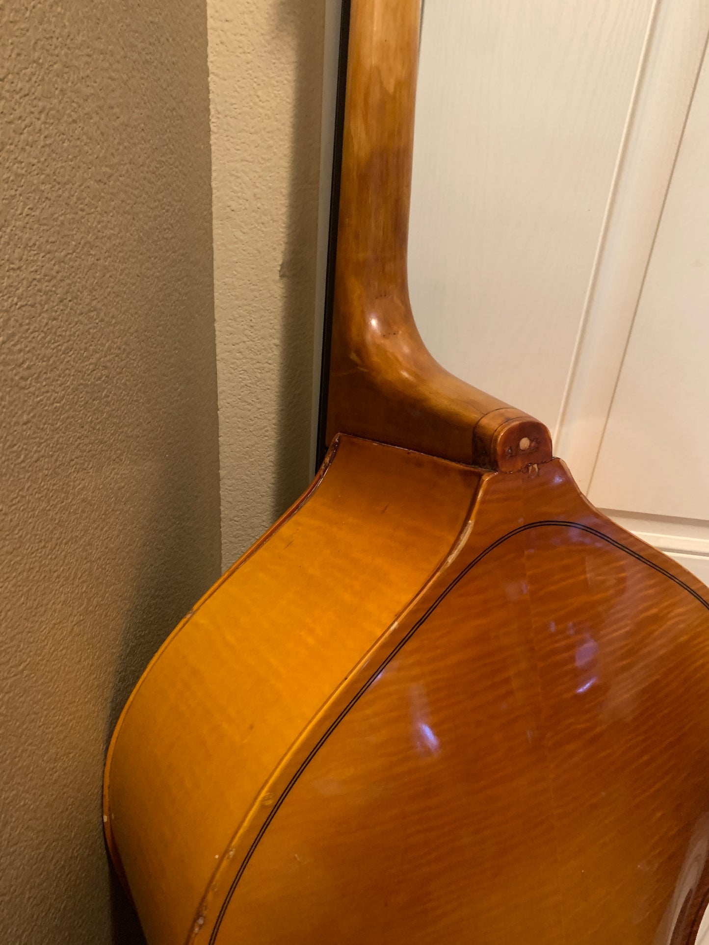 ENGLEHARDT UPRIGHT BASS / TOLOLOCHE